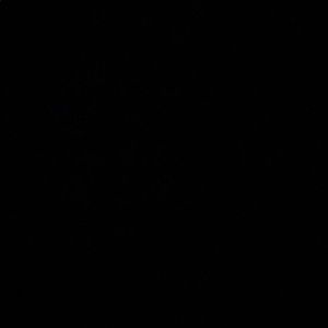 Meet your Posher, Alayna